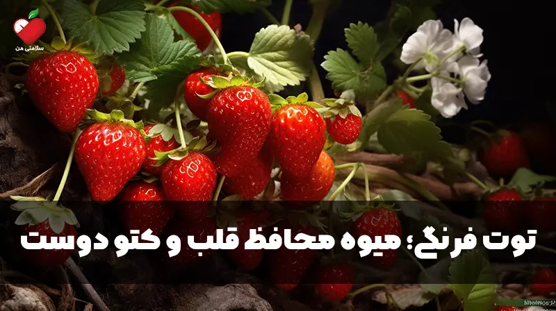 توت فرنگی؛ میوه محافظ قلب و کتو دوست