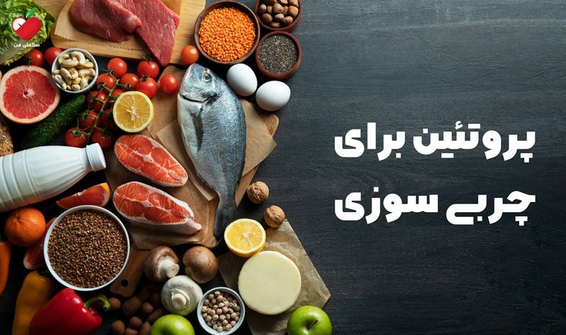 پروتئین برای چربی سوزی