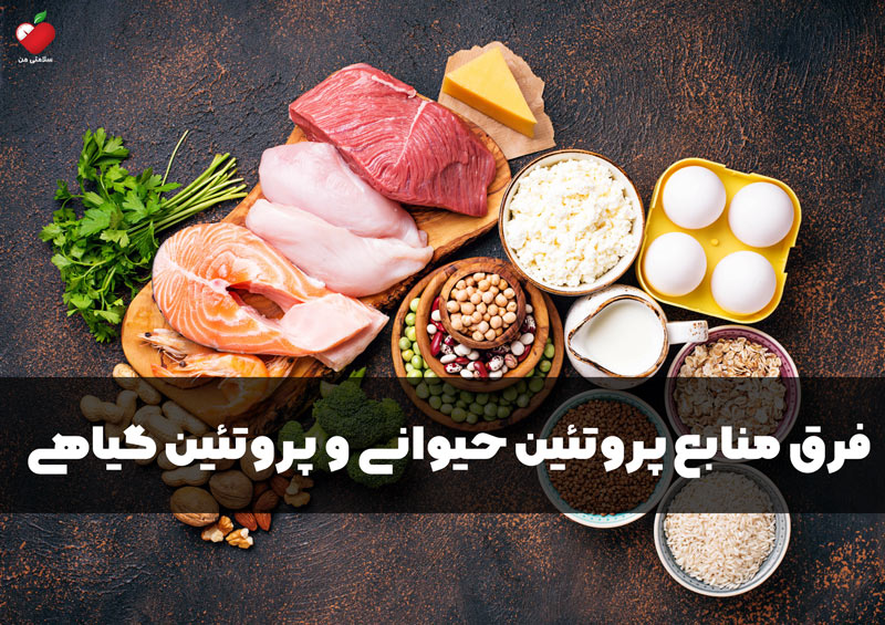 فرق منابع پروتئین حیوانی و پروتئین گیاهی