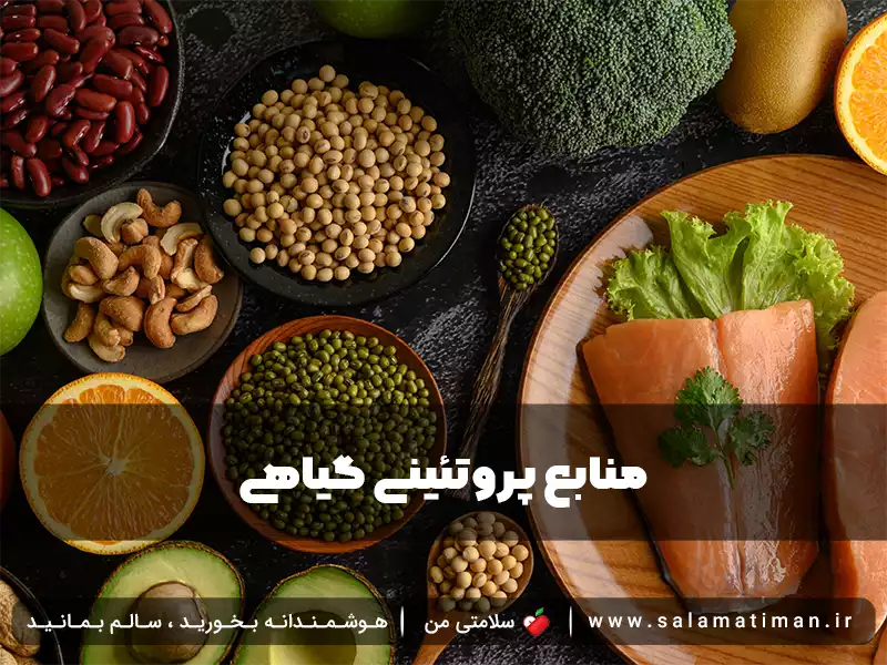 منابع پروتئینی گیاهی