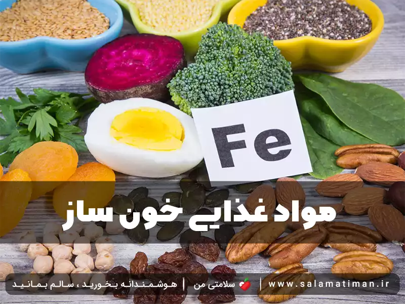 مواد غذایی خون ساز