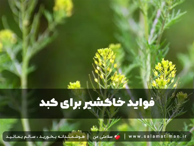 فواید خاکشیر برای کبد