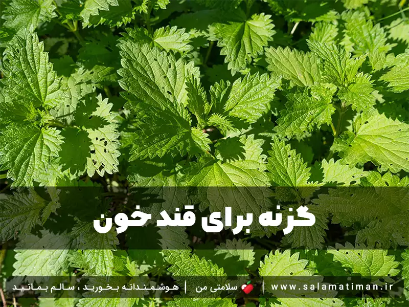 گزنه برای قند خون